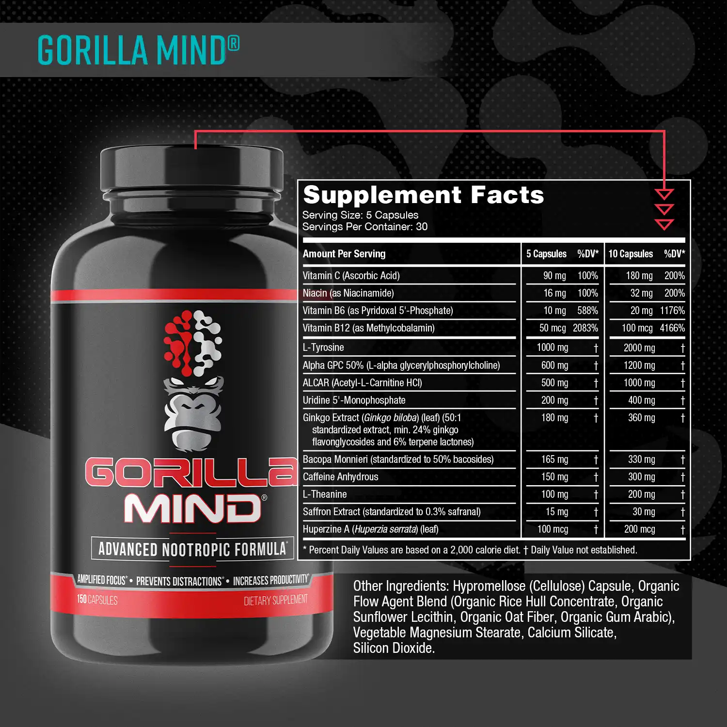 Alternative view of Gorilla Mind