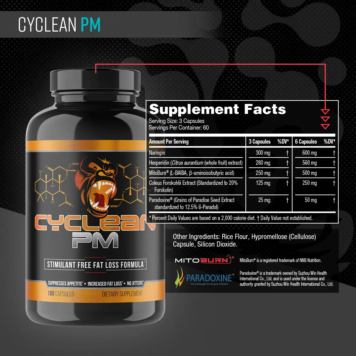 Alternative view of Cyclean™ PM
