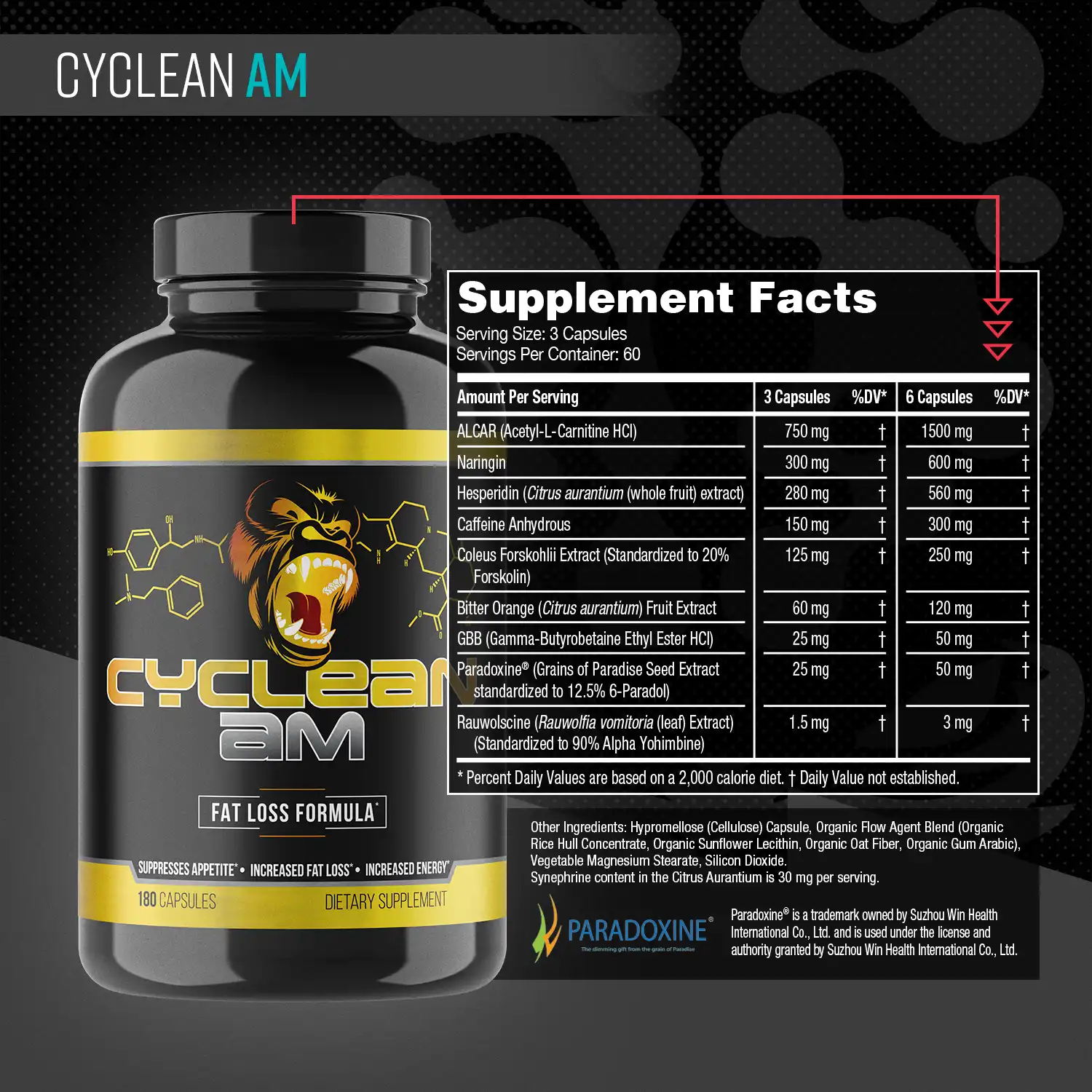 Alternative view of Cyclean™ AM